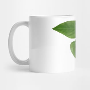 Pothos Jade Leaf Mug